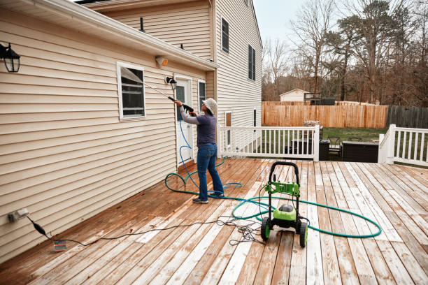 Best Deck Cleaning Services  in Lester Prairie, MN