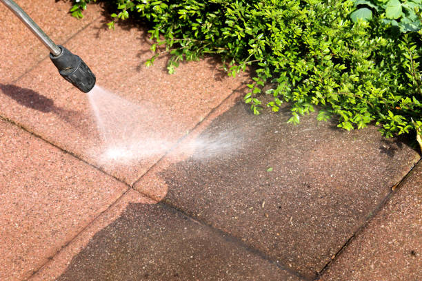 Best Commercial Pressure Washing  in Lester Prairie, MN